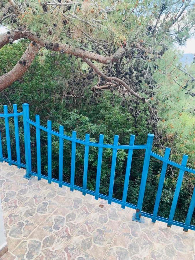 Villa Bellina Pefki エクステリア 写真